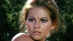 La mafia fait la loi