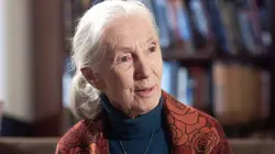 La magie de l'évolution