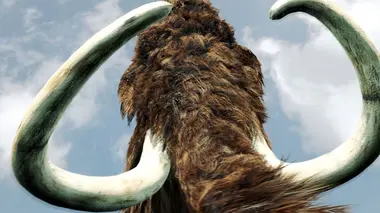 Le secret de la survie