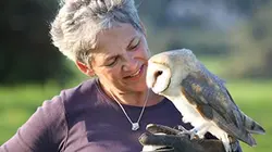 Visuel de La magie des chouettes