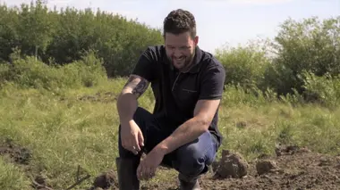 L'agneau du sud du Manitoba