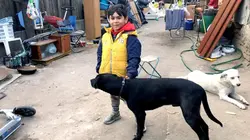 La maison des enfants perdus de Bucarest