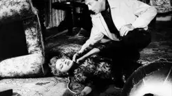 Visuel de La maison des sept faucons