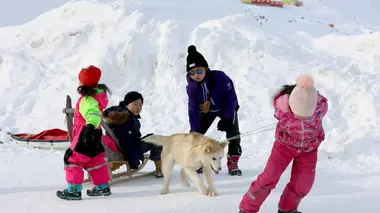 Un avenir au Groenland