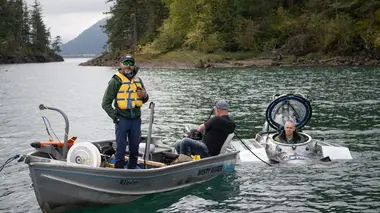 Le secret de la vallée du Sasquatch