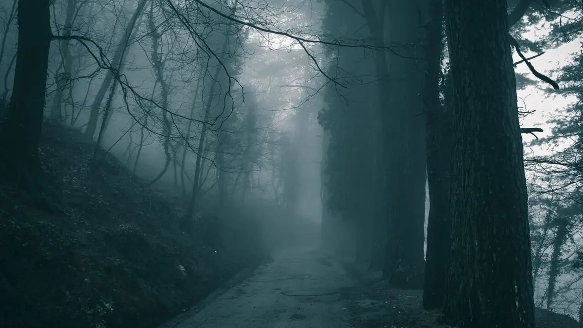 Casting La malédiction de Morgan City À travers la brume