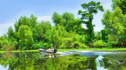 La malédiction de Morgan City