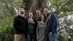 La malédiction de Morgan City