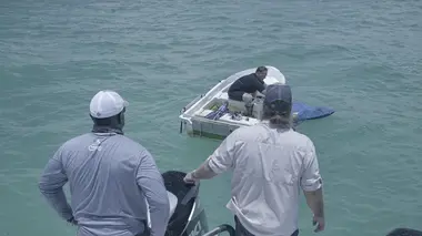 La malédiction du Triangle des Bermudes L'armée contre le triangle