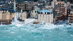 Visuel de La marée du siècle (1/2)