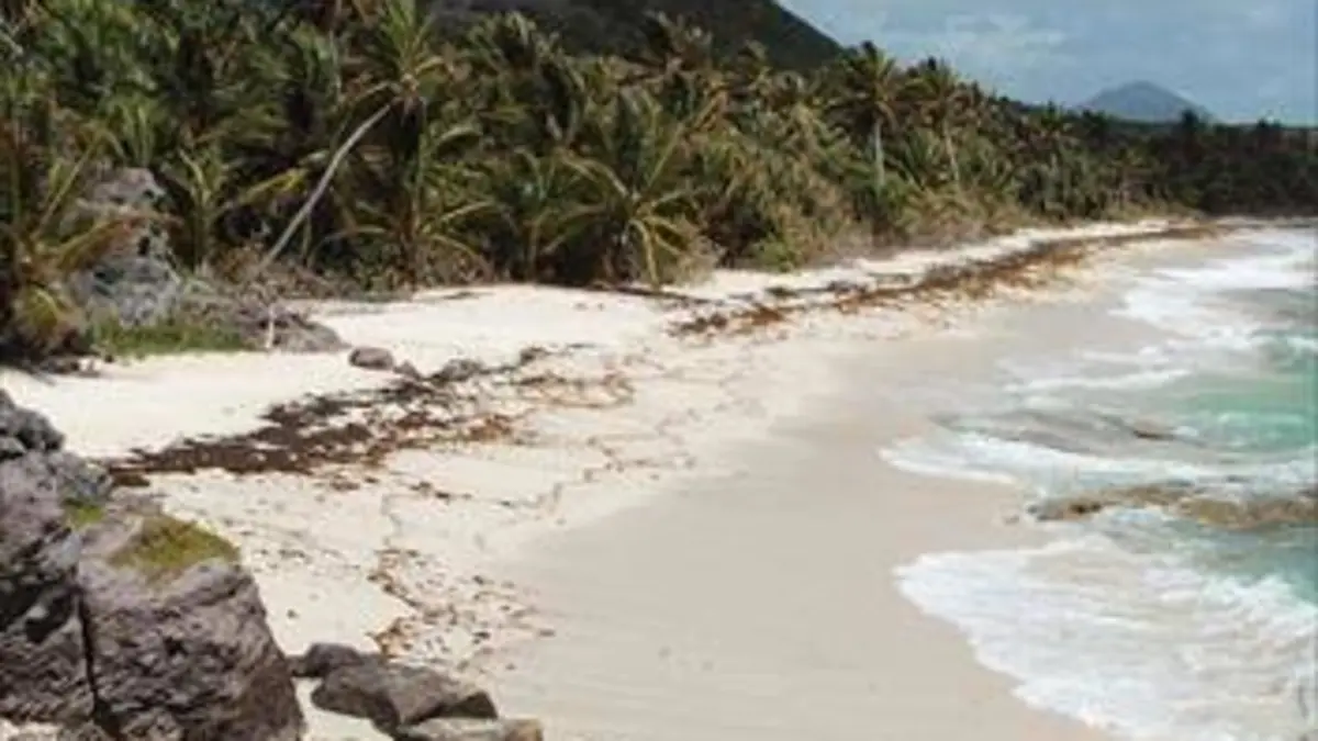 La Martinique à pied