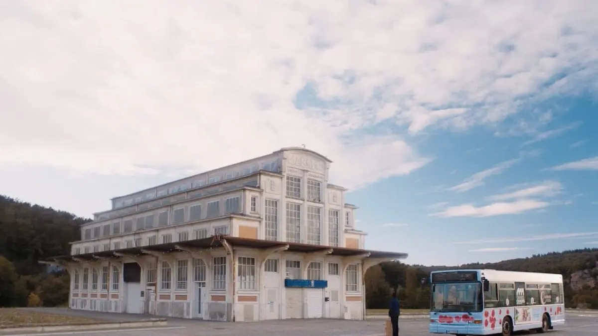 La mécanique des tournesols