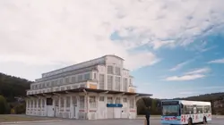 La mécanique des tournesols