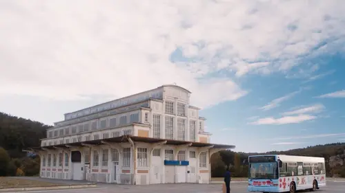 La mécanique des tournesols