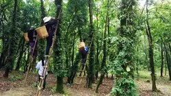 La médecine traditionnelle chinoise