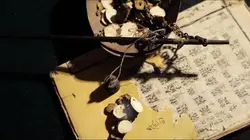 La médecine traditionnelle chinoise