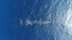 La Méditerranée révélée