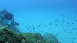 La Méditerranée révélée