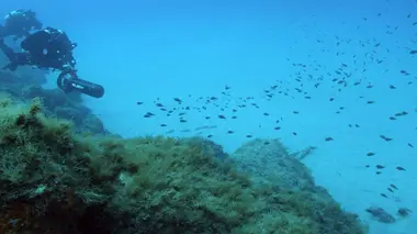 Au coeur du détroit de Messine