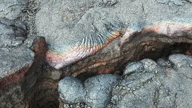 Basalte, un voyage sur la ceinture de feu du Pacifique