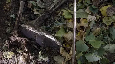 Qu'est-ce que je fais là ?
