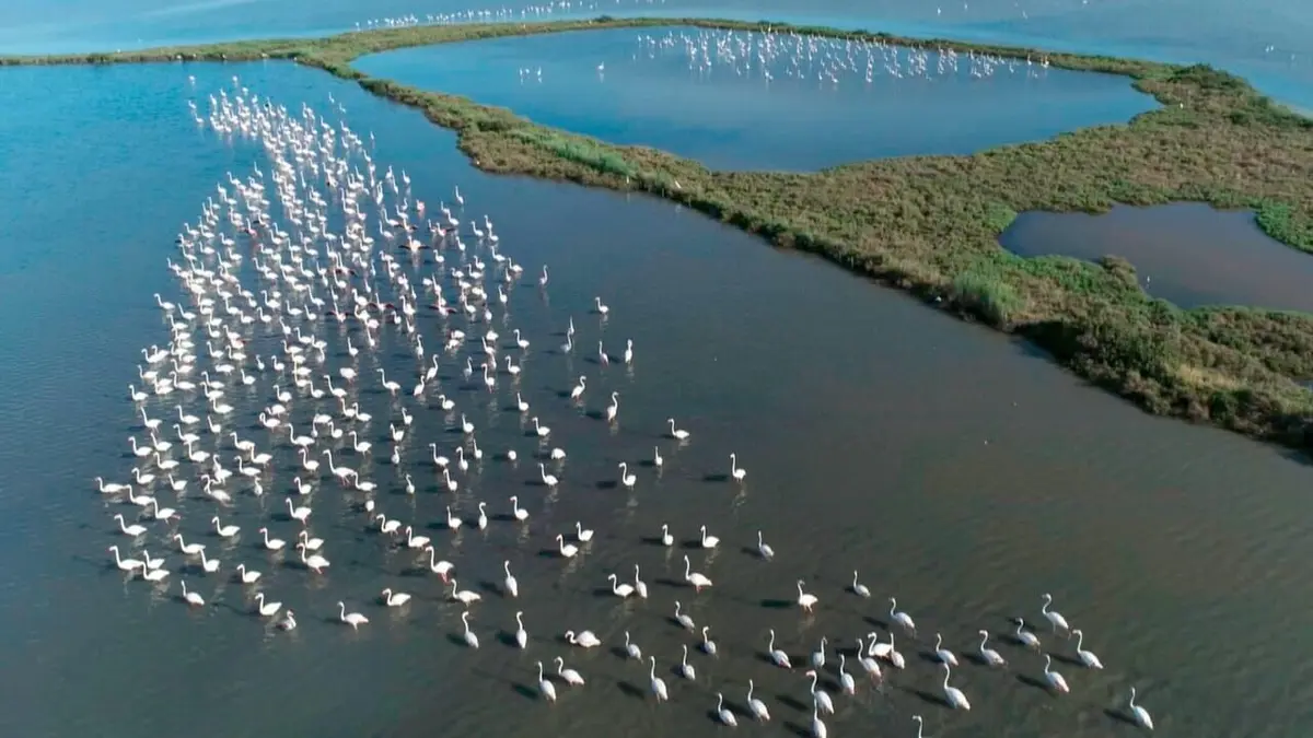 La mer Adriatique Entre Trieste et Comacchio