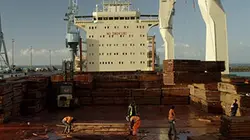 Visuel de La mer est mon royaume