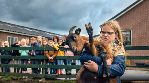 La méthode Flore S02E06 Mauvaise aura