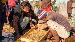 La mine de la fortune Les sept saphirs