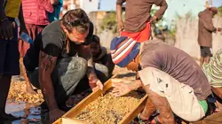 La mine de la fortune Les sept saphirs