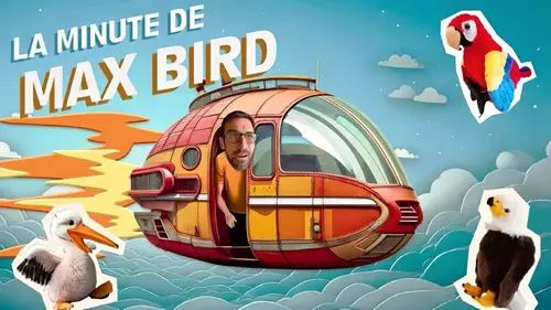 La minute de Max Bird