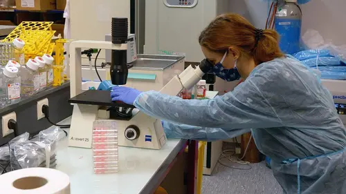 La molécule miracle : chronologie d'un espoir