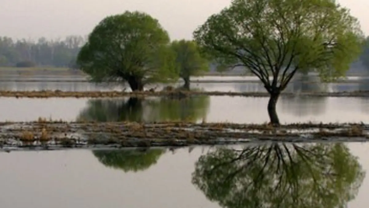 La Morava, rivière sans frontière Une rivière sans frontière