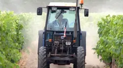 Visuel de La mort est dans le pré