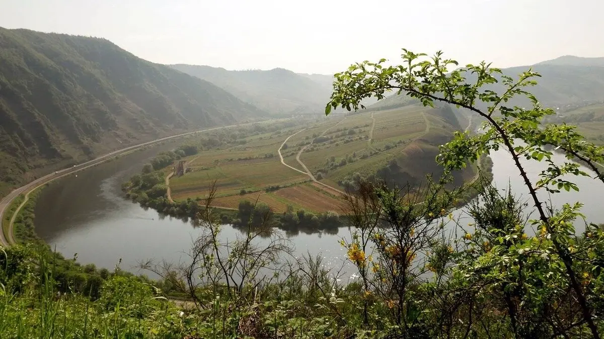 La Moselle au fil de l'eau