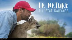 La nature à l'état sauvage E18 La buse à queue rousse