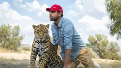 La nature à l'état sauvage E18 La buse à queue rousse