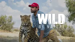 La nature à l'état sauvage E18 La buse à queue rousse