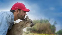 La nature à l'état sauvage E18 La buse à queue rousse