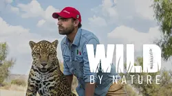 La nature à l'état sauvage E18 La buse à queue rousse