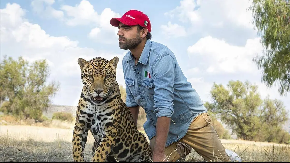 La nature à l'état sauvage E18 La buse à queue rousse