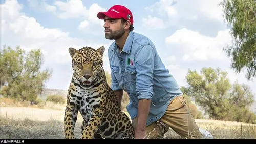 La nature à l'état sauvage E22 Danse avec les serpents