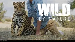 La nature à l'état sauvage