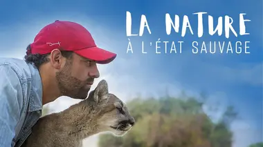 La nature à l'état sauvage E21 Le crotale à queue noire et la chouette effraie des clochers