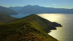 La nature en symbiose