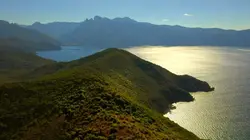 La nature en symbiose