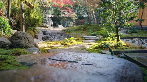 La nature, l'art et nous Comprendre la nature