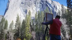 La nature, l'art et nous