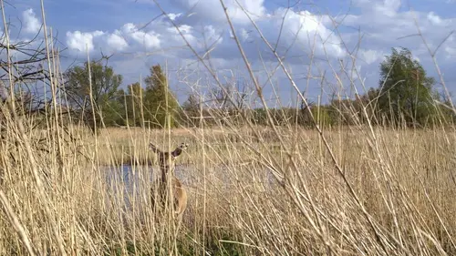 Casting La nature mise à prix ?