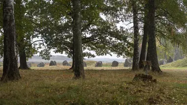 Festival de plein air et castors sauvages